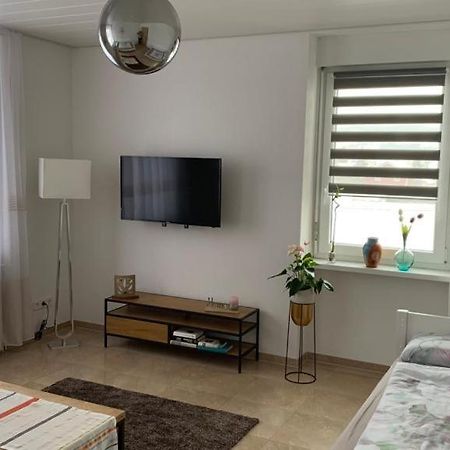 Grenznahe Ferienwohnung mit 4 Schlafzimmern Grenzach-Wyhlen Exterior foto